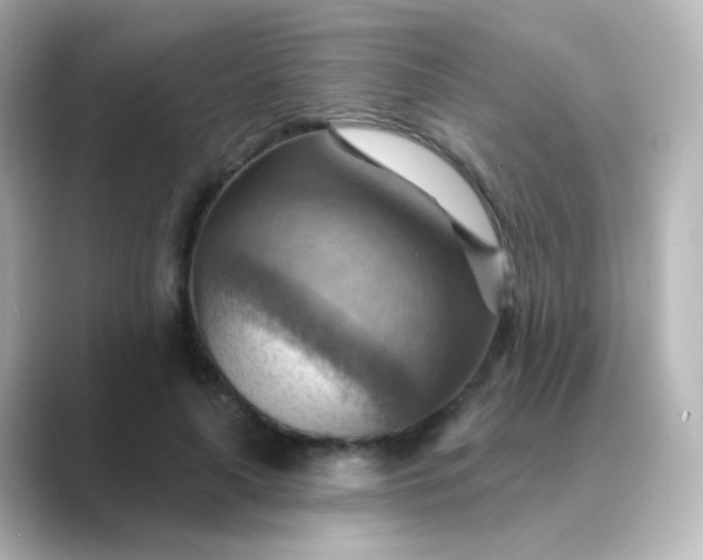 X0000088830643200706211815