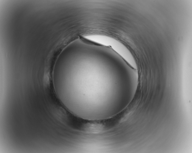 X0000088830644200706211815