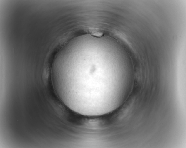 X0000088830645200706211815