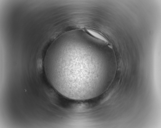 X0000088830646200706211815