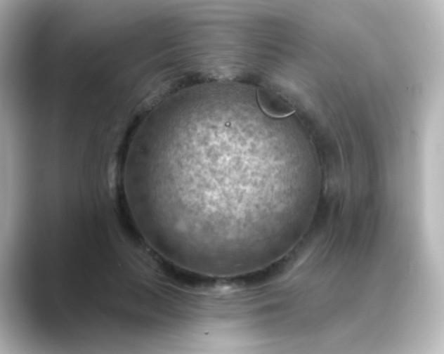 X0000088830647200706211815