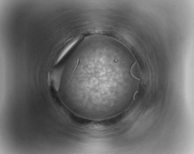 X0000088830648200706211815