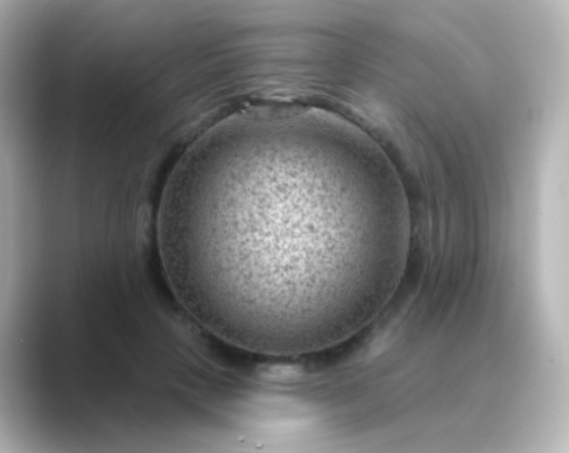 X0000088830649200706211815