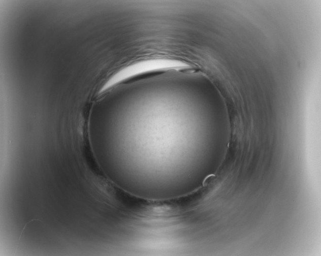 X0000088830650200706211815