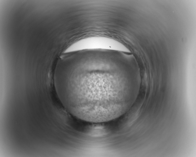 X0000088830651200706211815