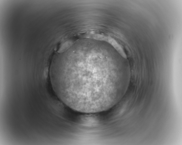 X0000088830652200706211815