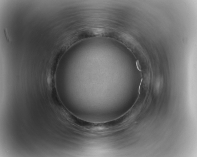 X0000088830653200706211815