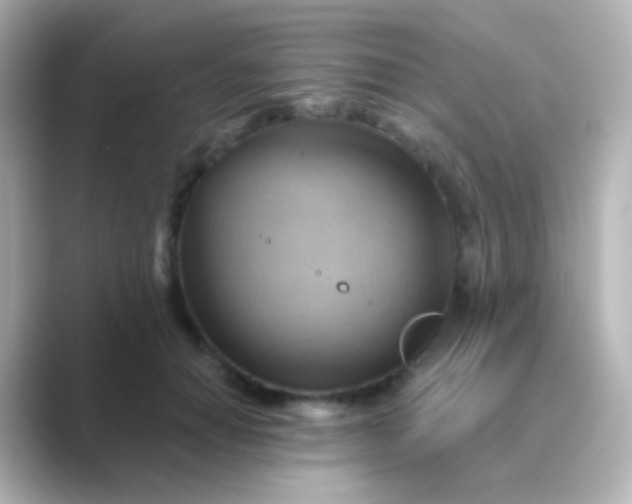 X0000088830654200706211815