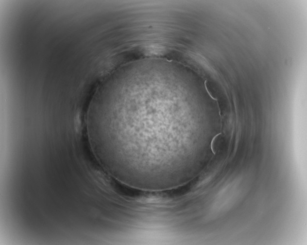 X0000088830655200706211815