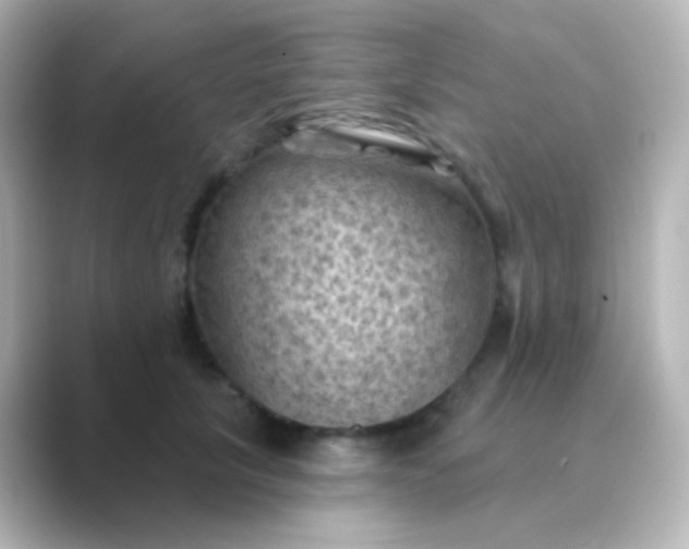 X0000088830657200706211816