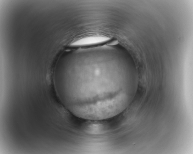 X0000088830658200706211816