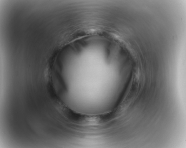 X0000088830659200706211816