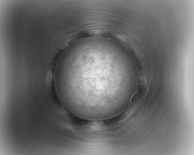 X0000088830660200706211816