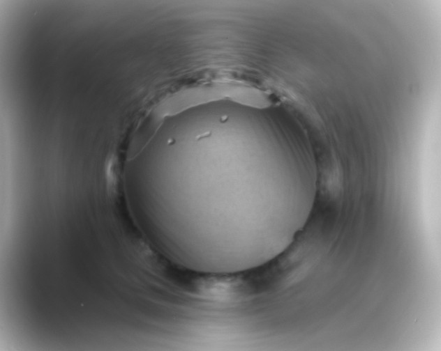 X0000088830661200706211816