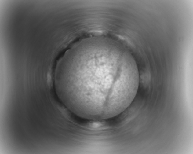 X0000088830662200706211816