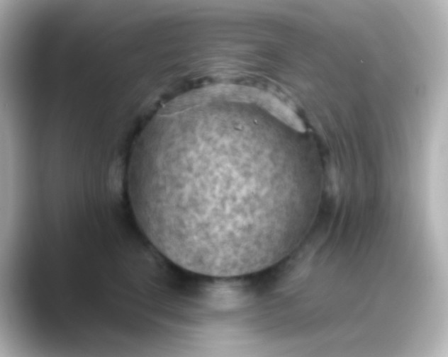 X0000088830664200706211816