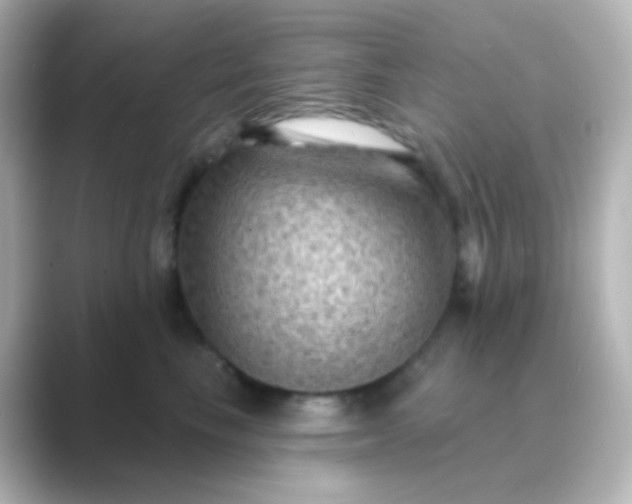 X0000088830665200706211816