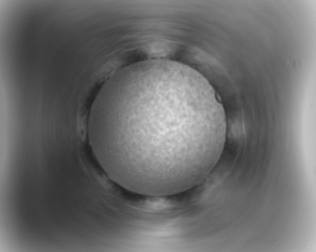 X0000088830666200706211816