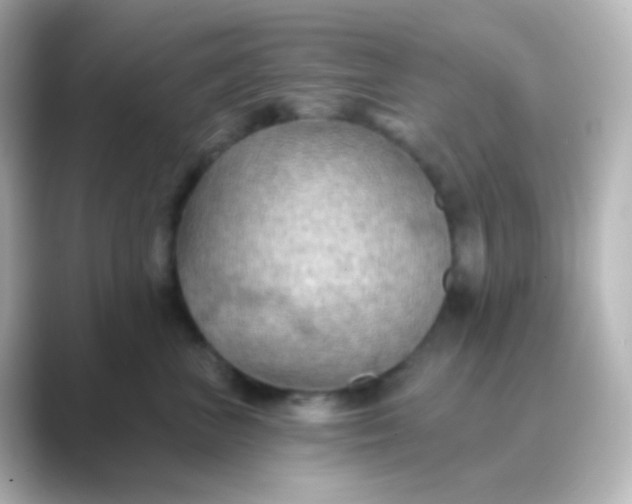 X0000088830667200706211816