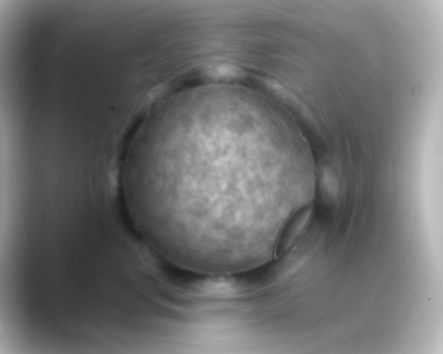 X0000088830668200706211816