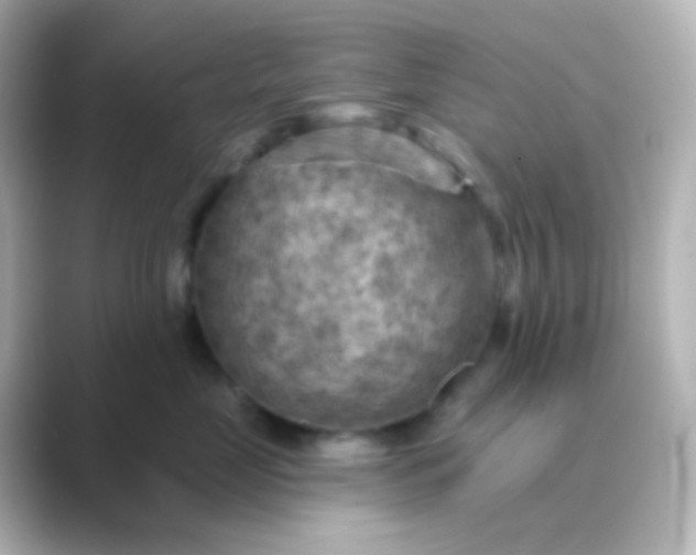 X0000088830669200706211816