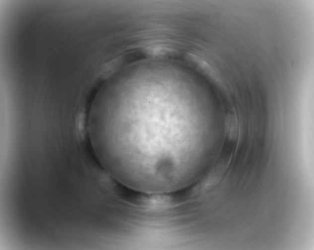 X0000088830670200706211816