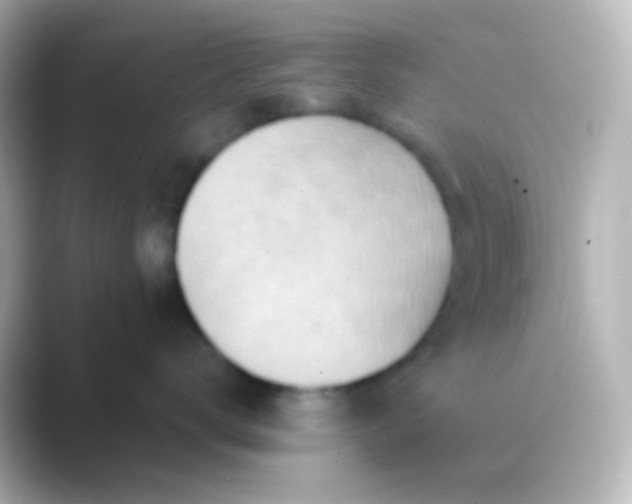 X0000088830672200706211816