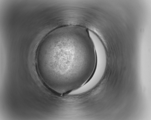 X0000088830673200706211815