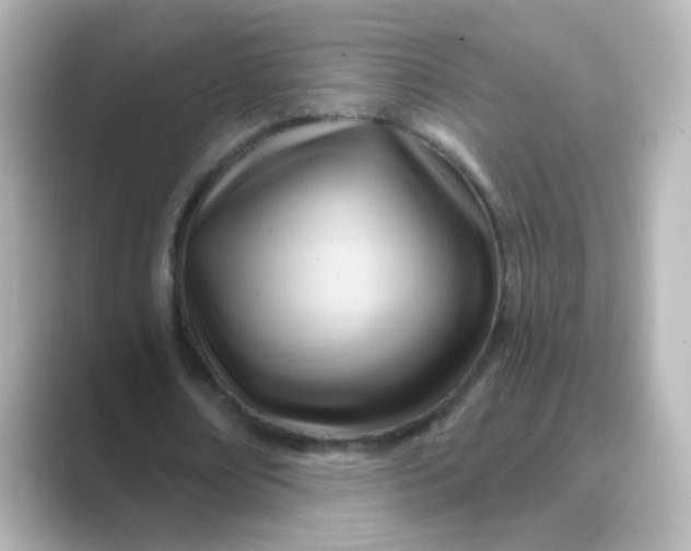 X0000088830674200706211815