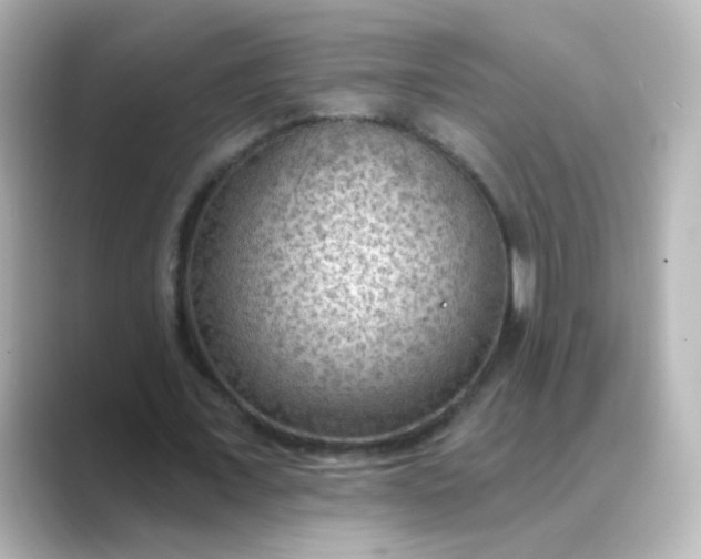 X0000088830675200706211815