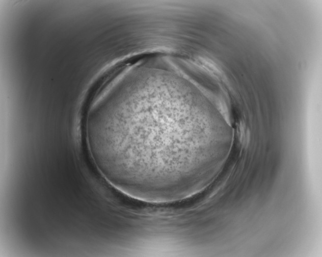 X0000088830676200706211815