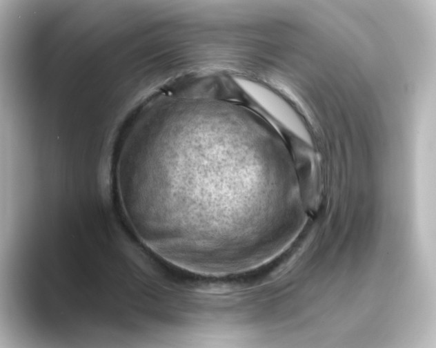 X0000088830677200706211815