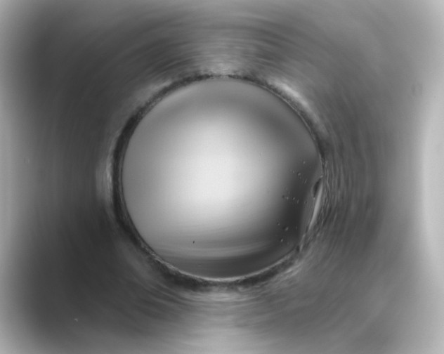 X0000088830678200706211815