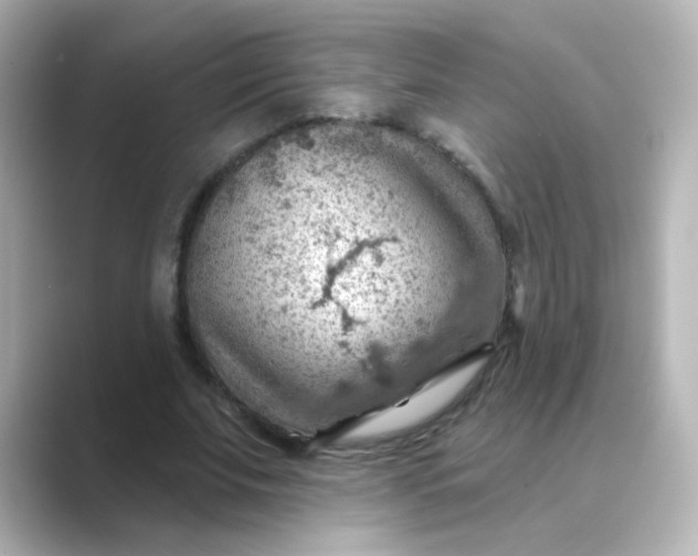 X0000088830679200706211815