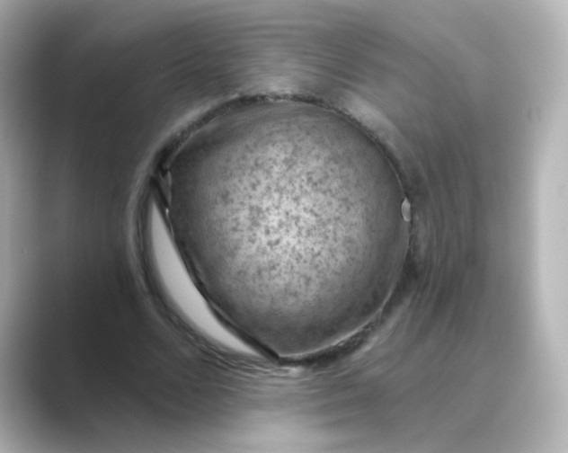 X0000088830680200706211815