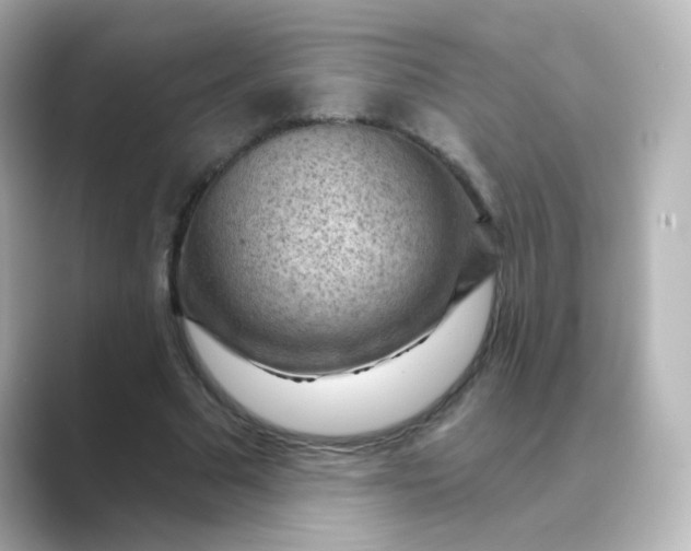 X0000088830681200706211815