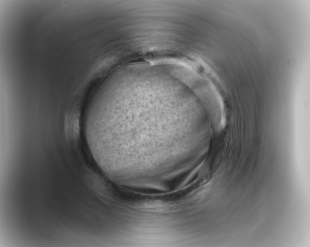 X0000088830685200706211815