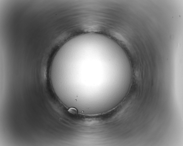 X0000088830686200706211815