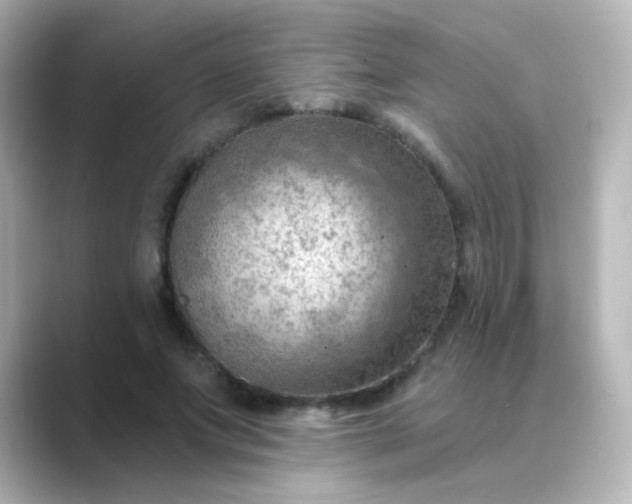 X0000088830687200706211815