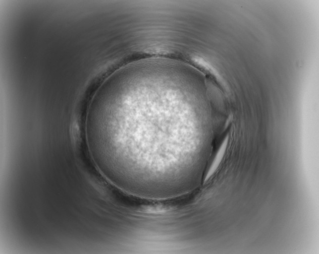 X0000088830688200706211815