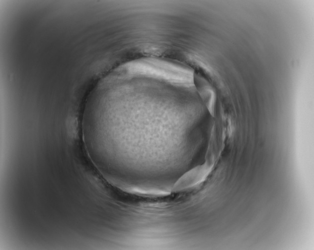 X0000088830689200706211815