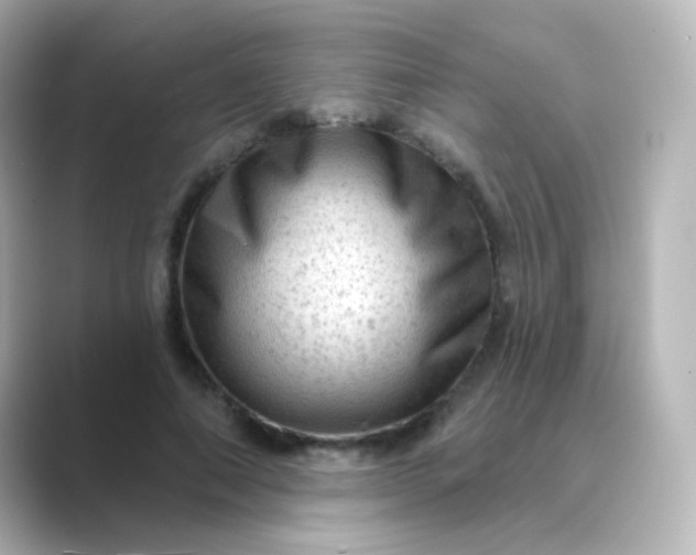 X0000088830690200706211815