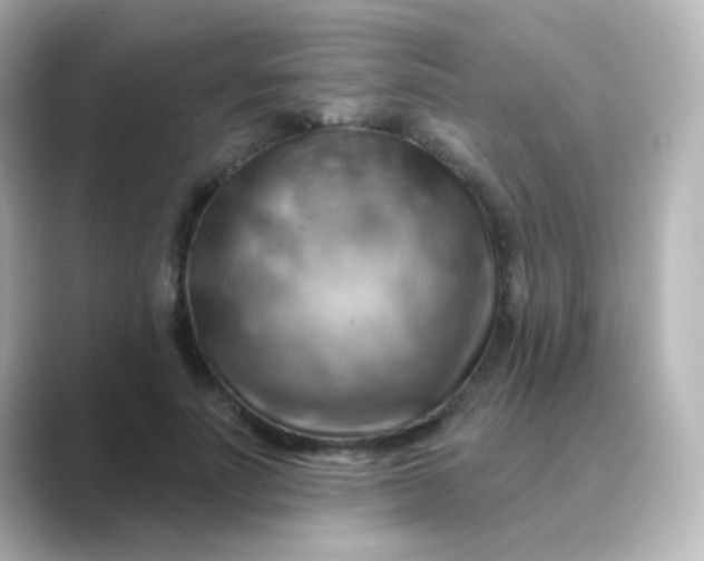 X0000088830691200706211815