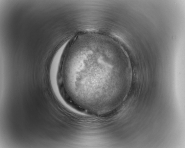 X0000088830692200706211815