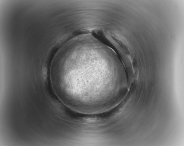 X0000088830693200706211815