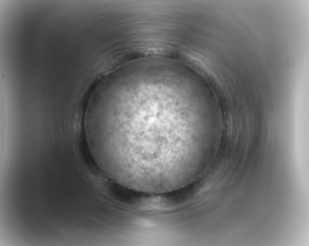 X0000088830695200706211815