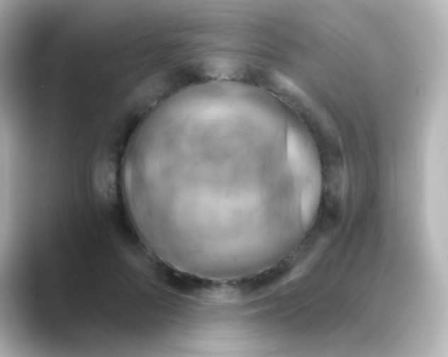 X0000088830696200706211815