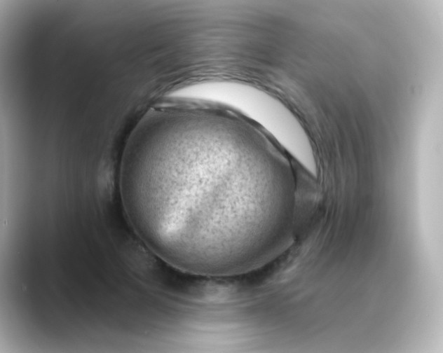 X0000088830697200706211815