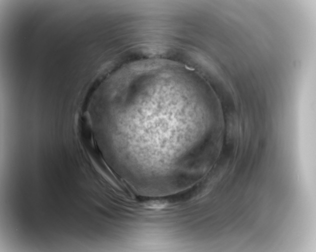 X0000088830700200706211815