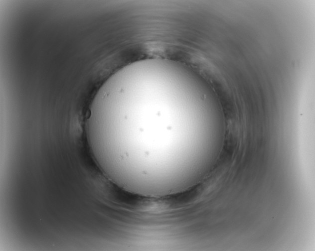 X0000088830702200706211815